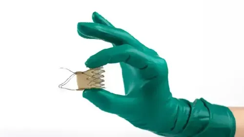 What is the Price Range of a Heart Valve Replacement Surgery?